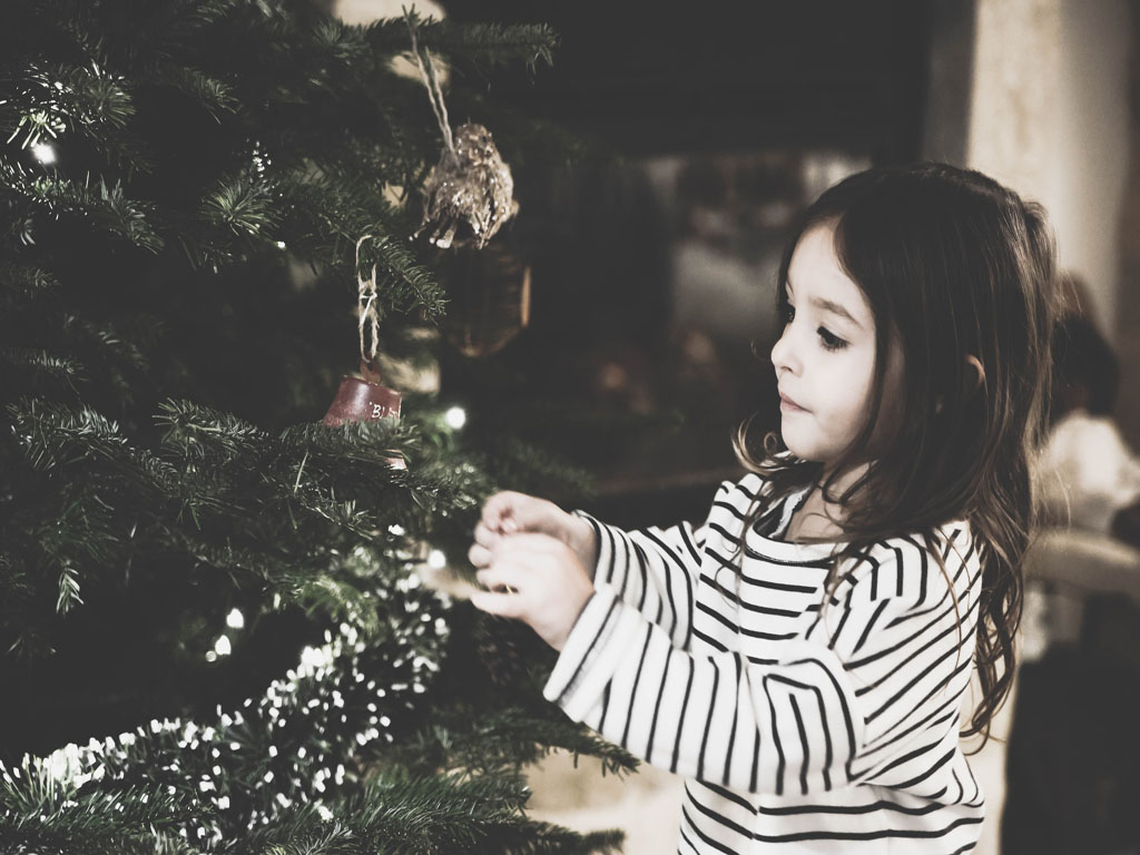 Christmas Tree Safety